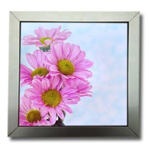 Display Frames