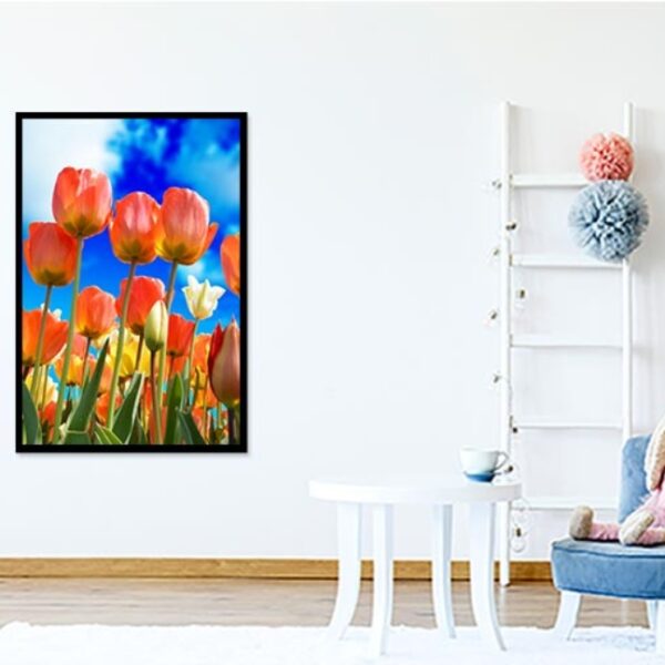 Display Frames